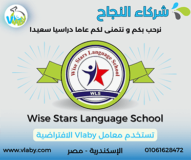 wise stars language school